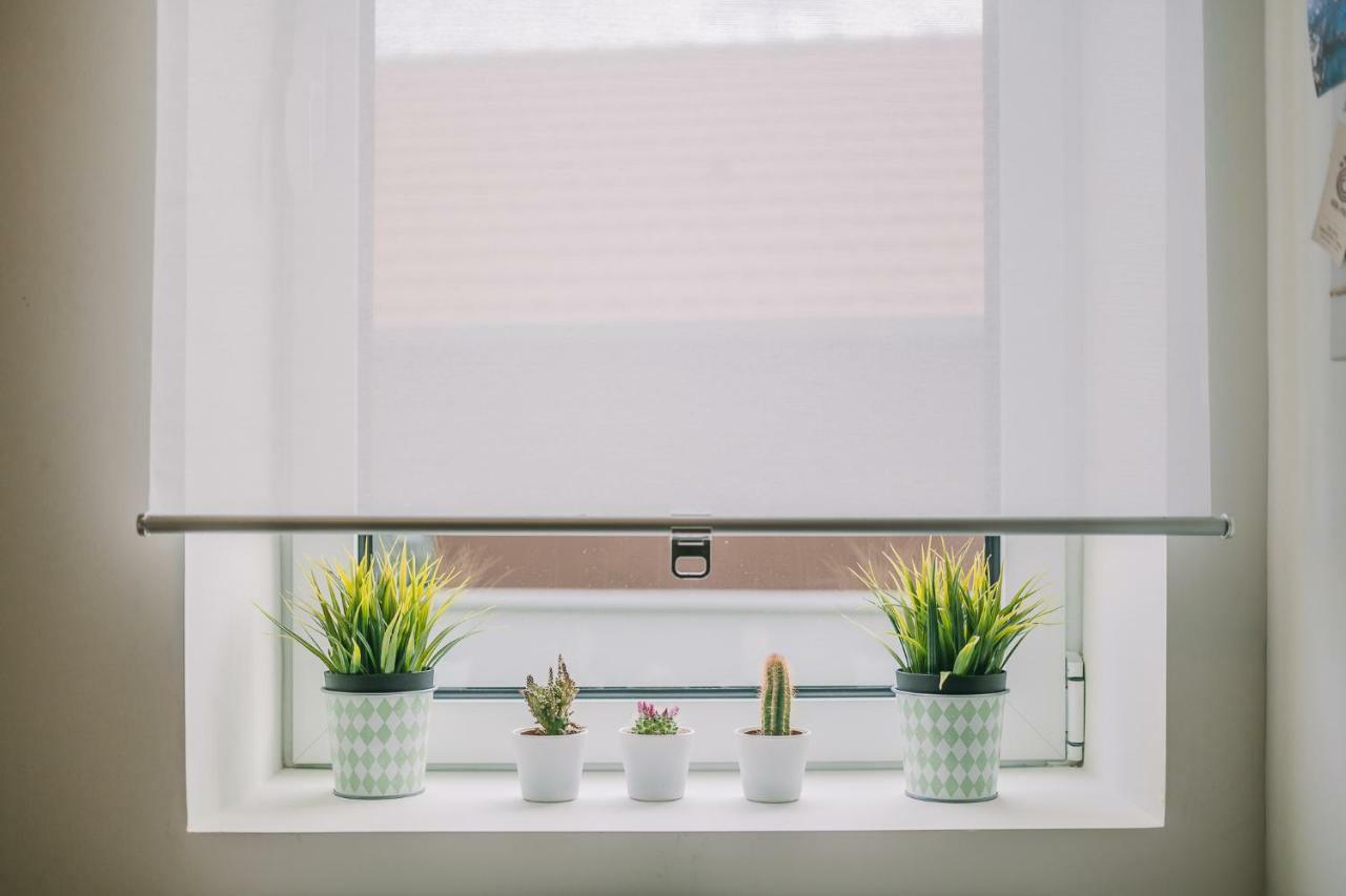 Green House / Casa Verde ปอร์โต ภายนอก รูปภาพ
